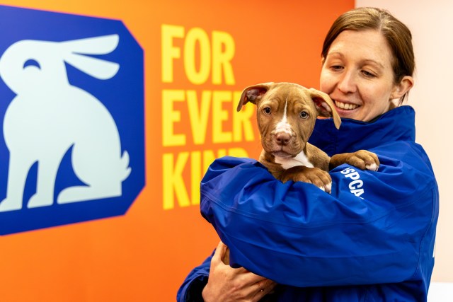 RSPCA officer with dog
