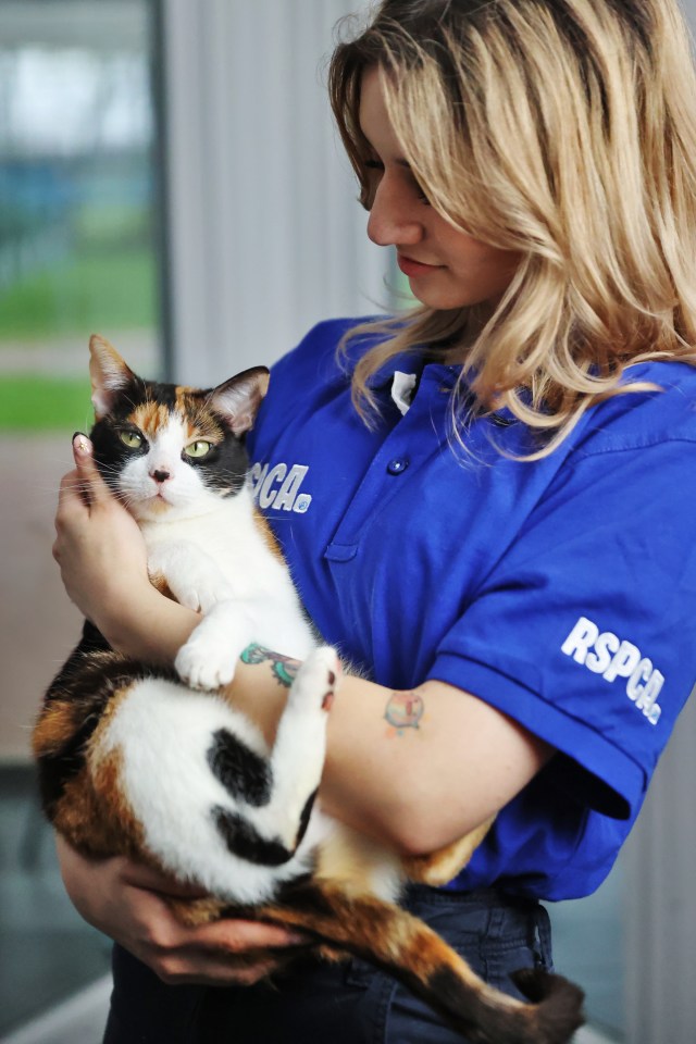 officer with cat
