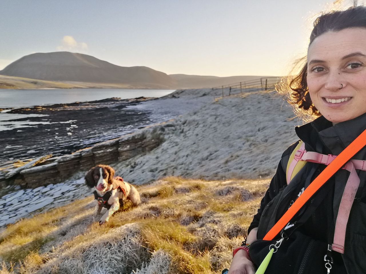 Conservation Canines: The Four-Legged Heroes Protecting Orkney’s Wildlife