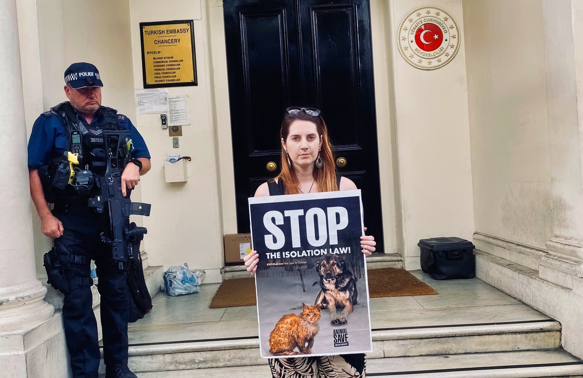 Animal Activists Urge Turkey to Stop Dog and Cat Massacre as Global Protests Erupt