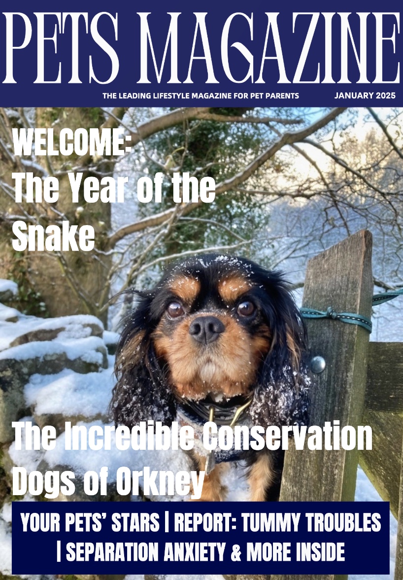 Pets Magazine, January 2025