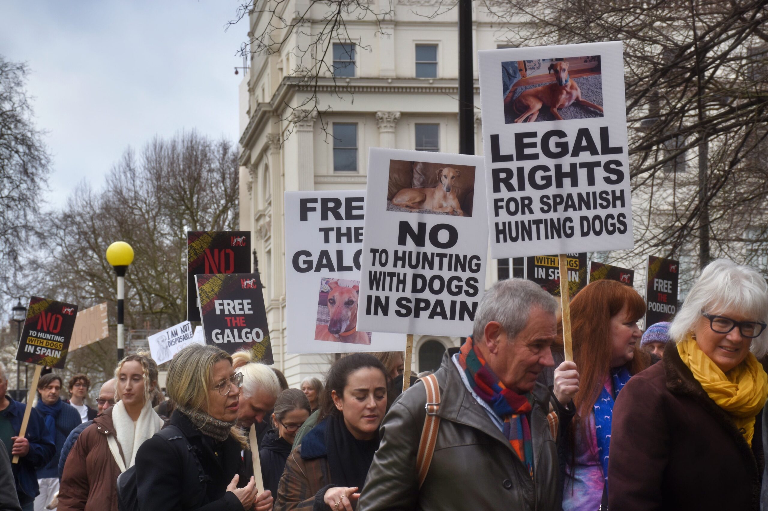 Hundreds to March in London to Support Spanish Hunting Dogs