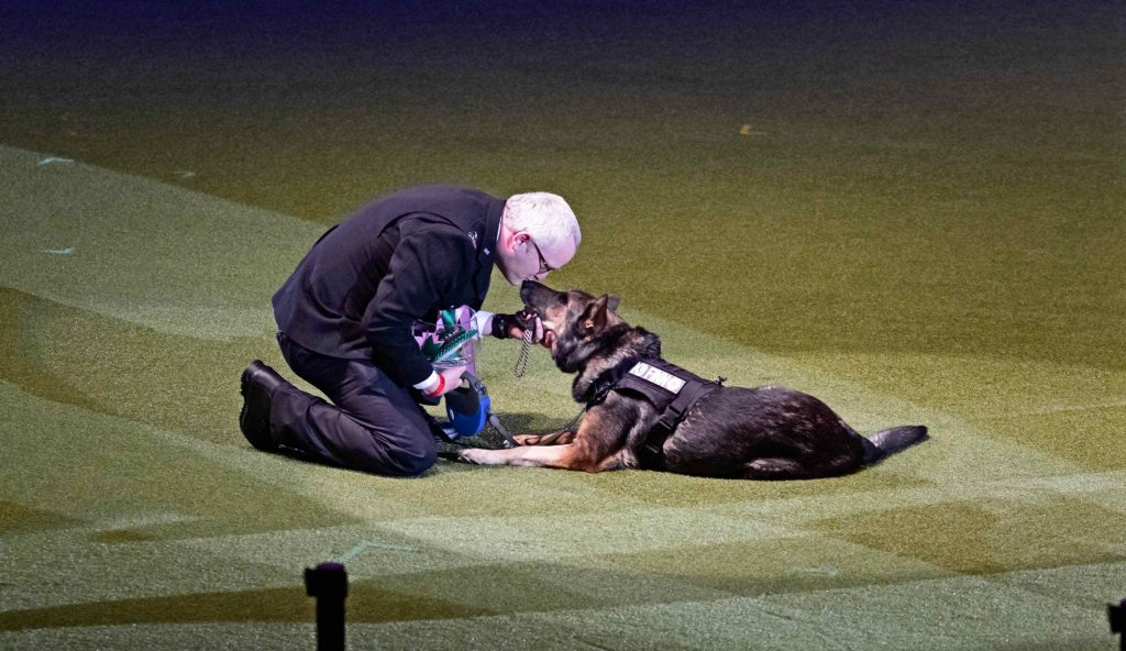 Nation’s Top Canine Hero is Honoured