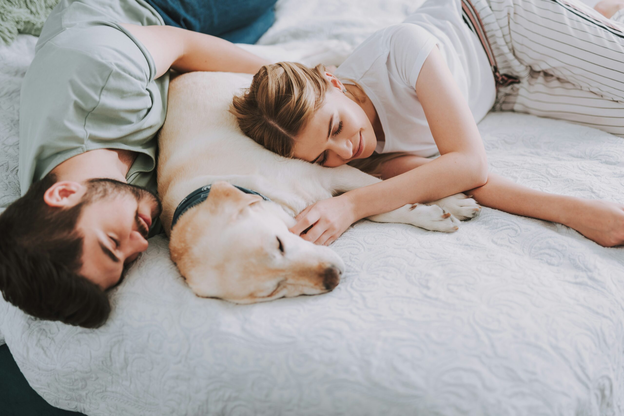 Pet Ownership and Sleep: An Expert Opinion