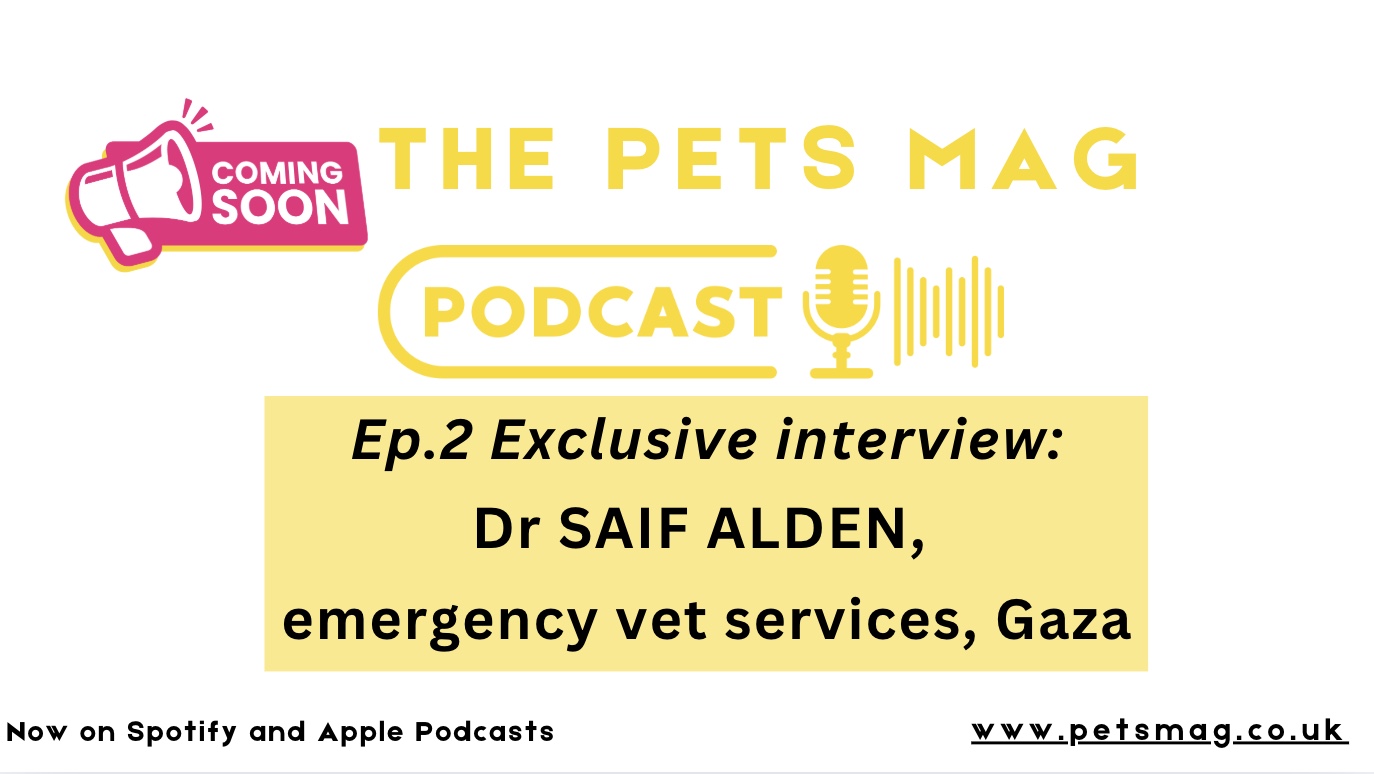 Coming Next Week: Veterinary Care in Gaza