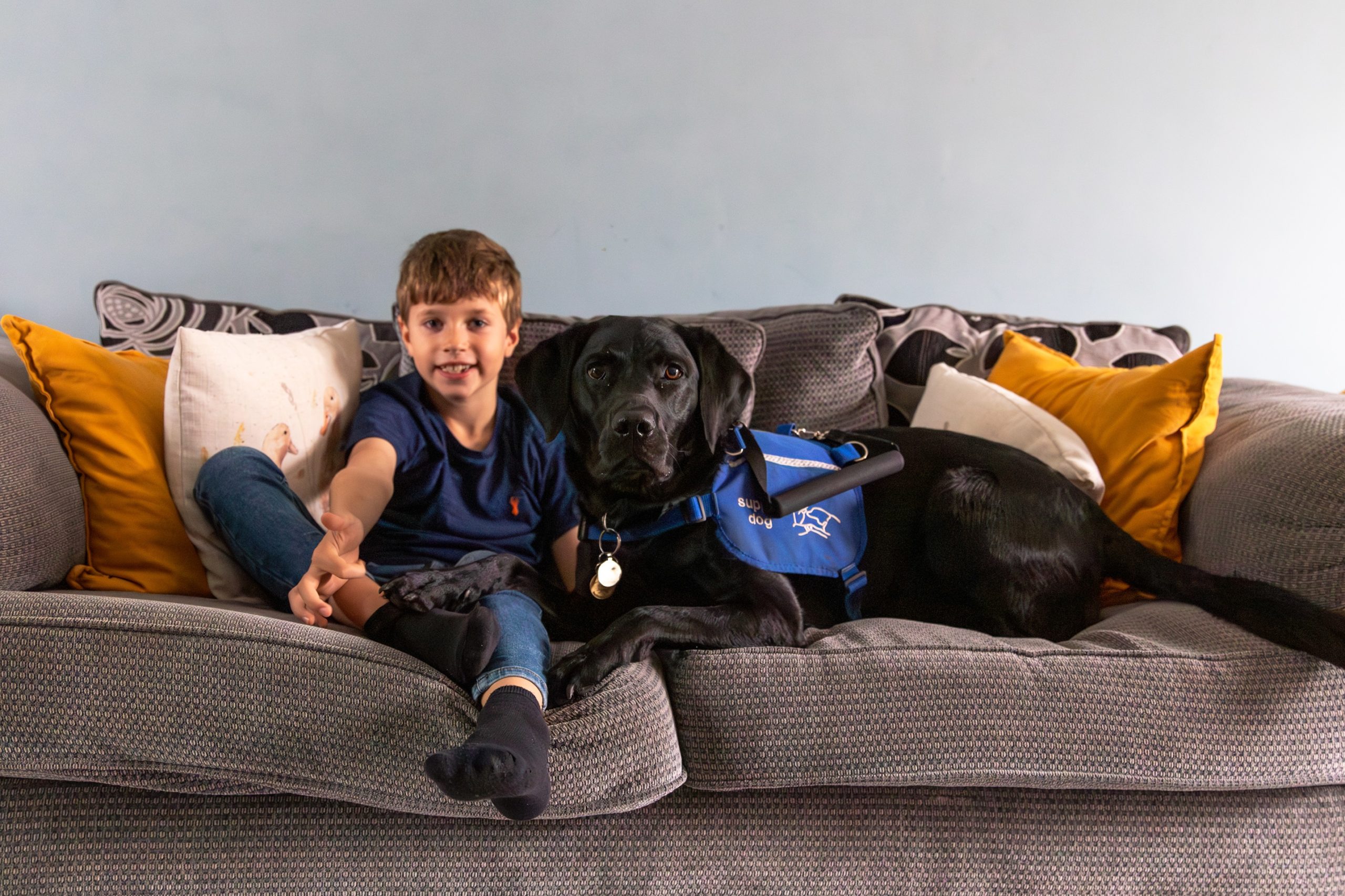 boy with his pet Labrador