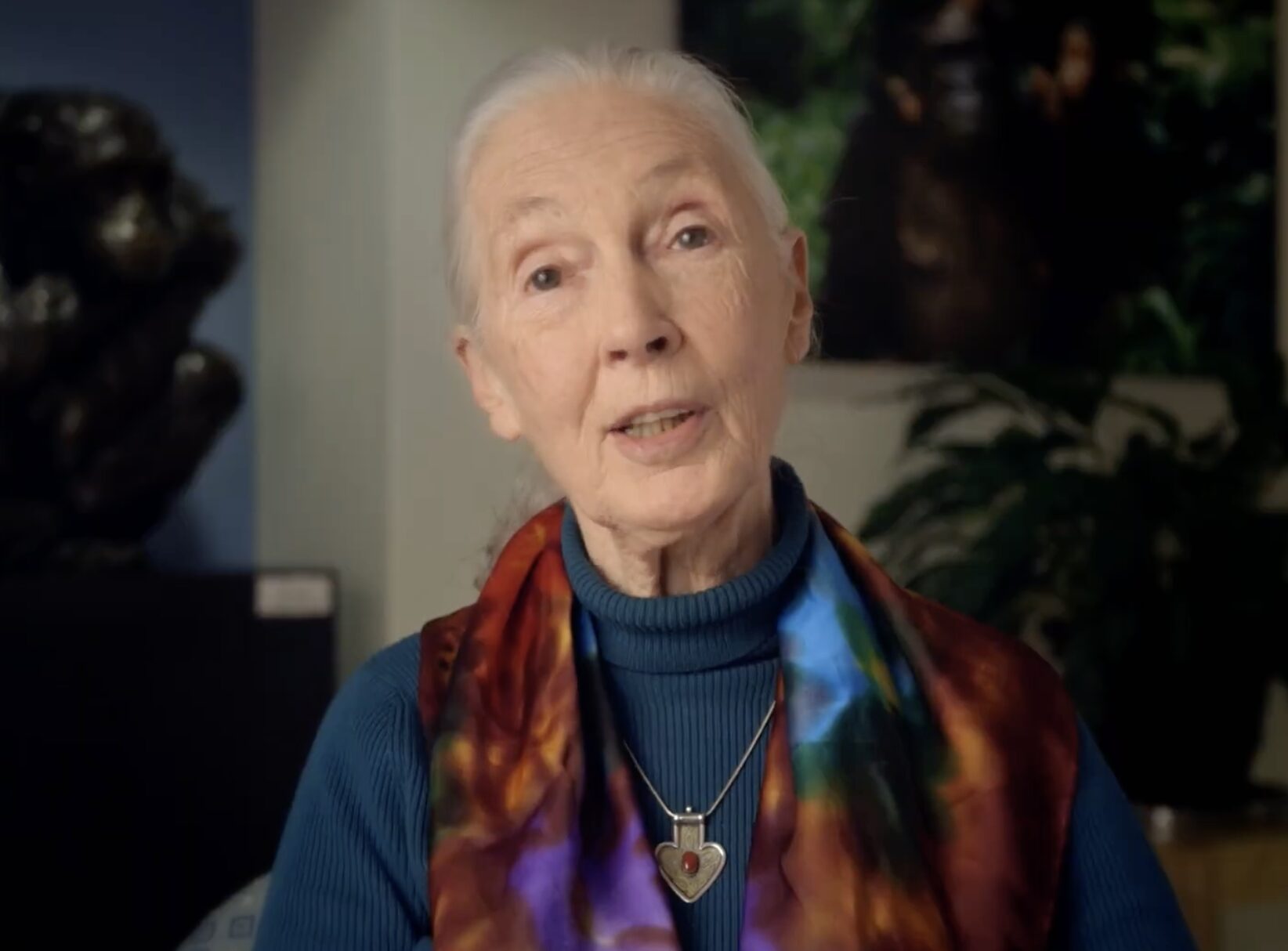 Jane Goodall Slams Morocco’s Killing Of 3 Million Dogs Ahead Of World Cup