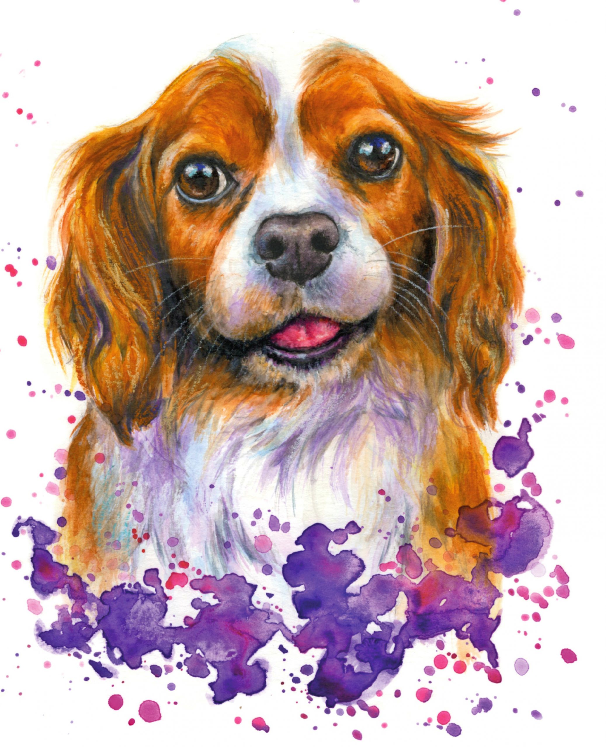 IN MEMORIAM: Nell: The Rescue Cavalier (1st May 2006- 24th November 2022)