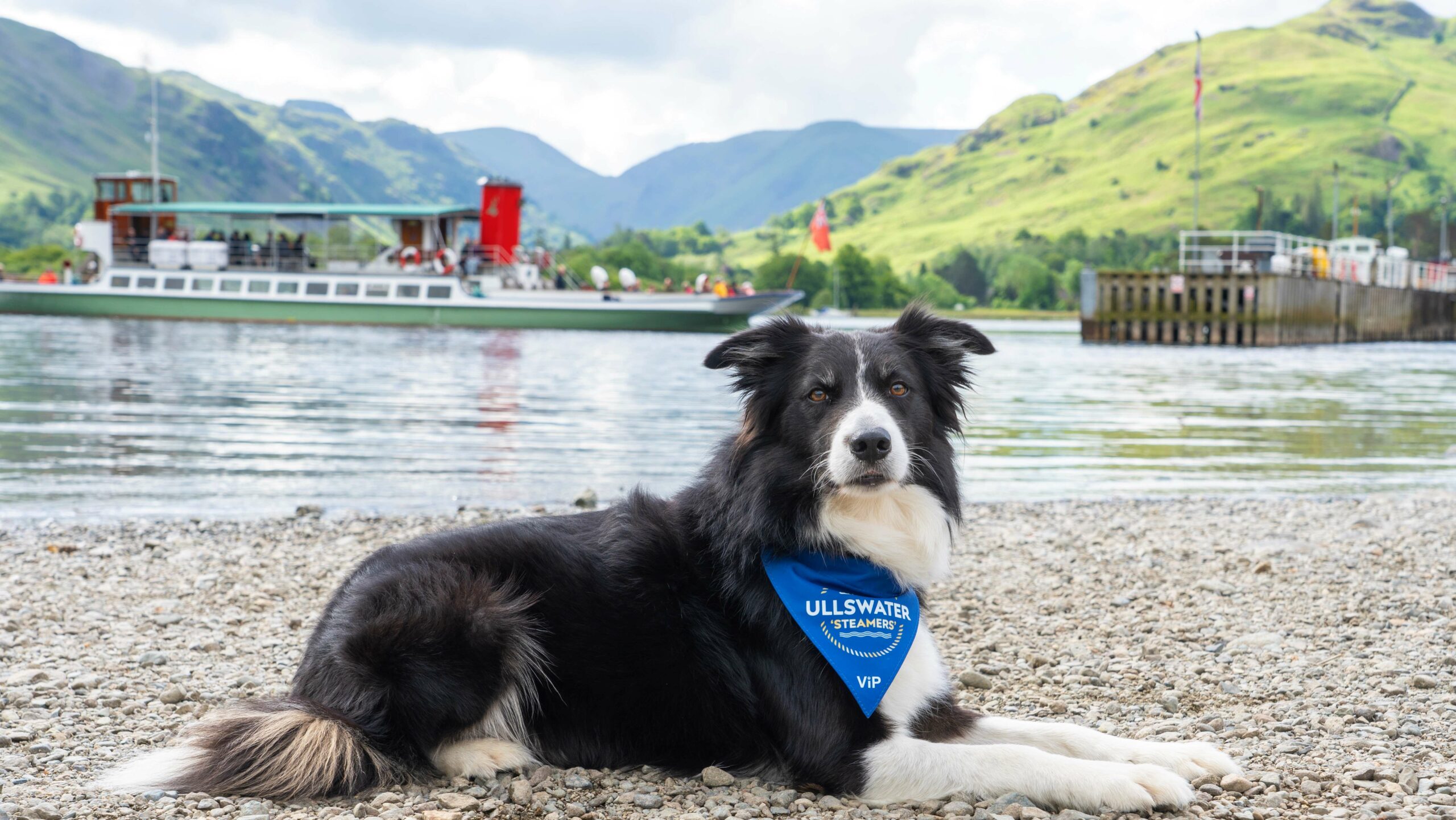 Calling All Dog Lovers: Win a Dream Getaway to the Lakes with Your Four-Legged Friend!