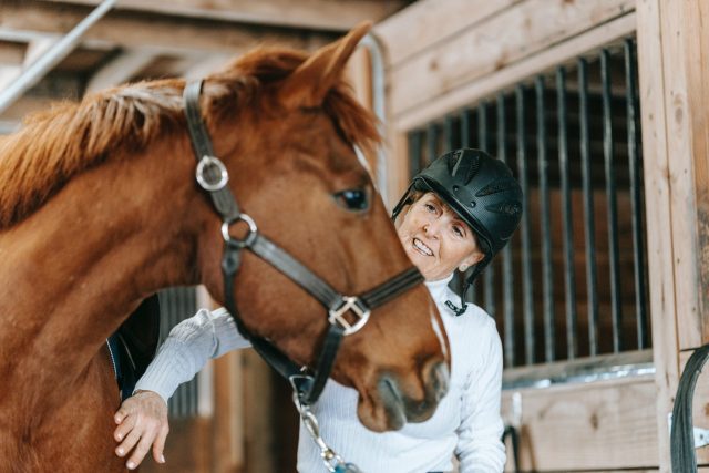 woman grooming a horse