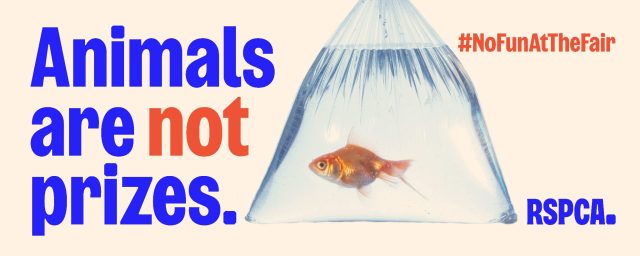 Animals are not prizes banner
