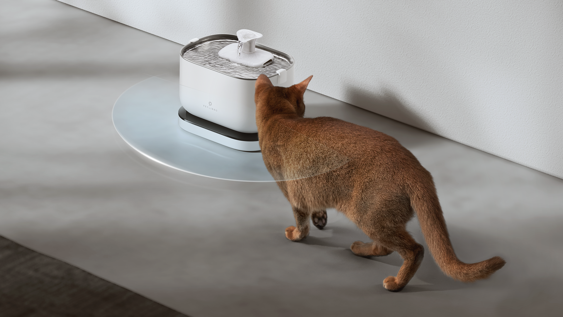 Hydration Redefined: Discover PETLIBRO’s Dockstream Battery-Operated Water Fountain