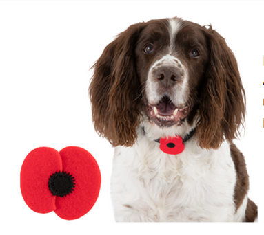 We Love These Poppies for Dogs